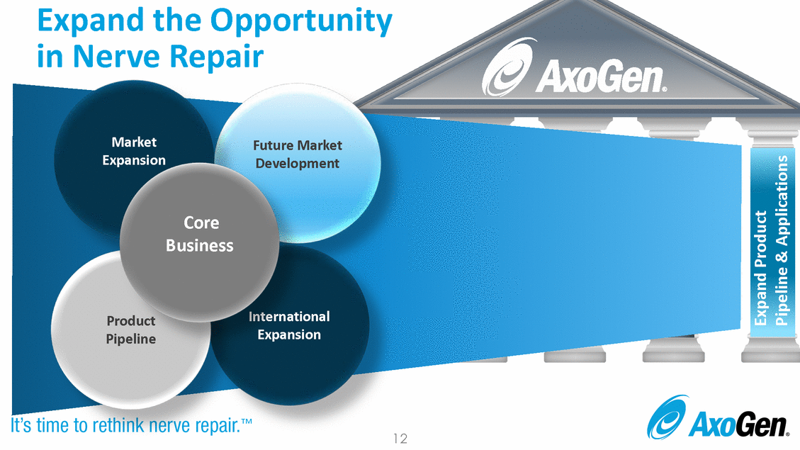 Doc1_analyst day full deck final_page_12.gif